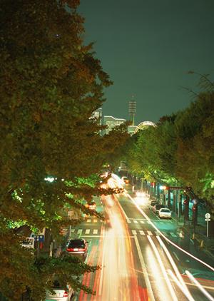 沖縄を楽しむにはレンタカーが便利