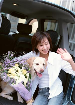 稲沢市で未使用車を購入しよう！