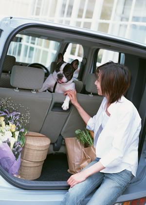 車検価格の安さならコバックにお任せ
